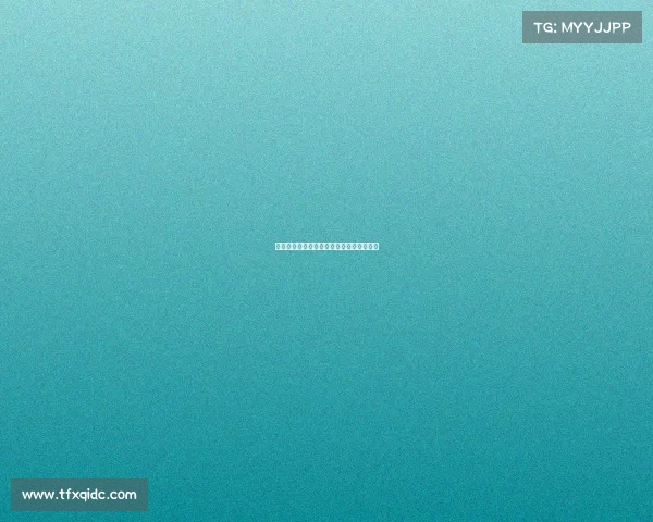 中国电子竞技大赛冠军中国电子竞技队夺冠