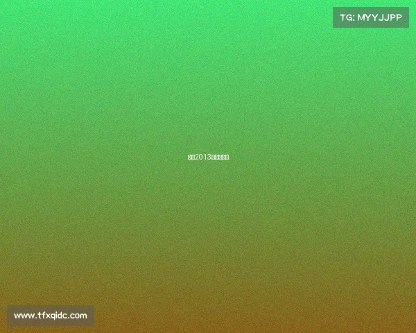 中国2013年电竞冠军